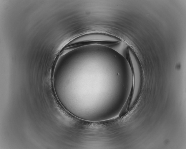 X0000090620842200707241127