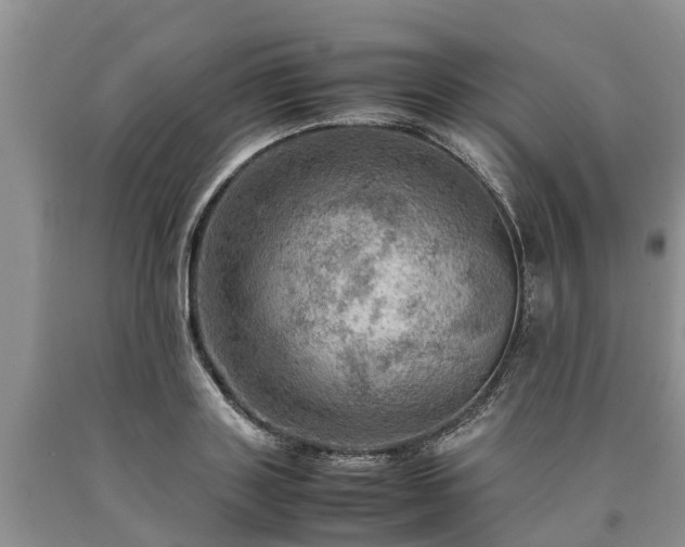 X0000090620843200707241127