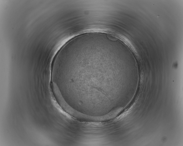 X0000090620844200707241127