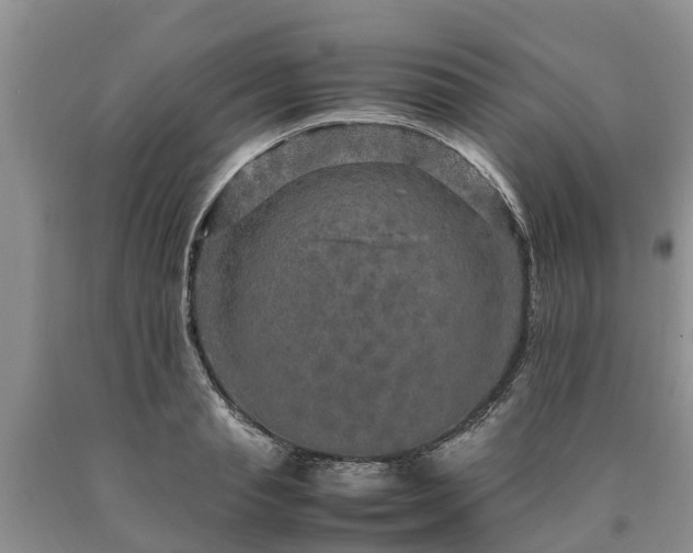 X0000090620845200707241127