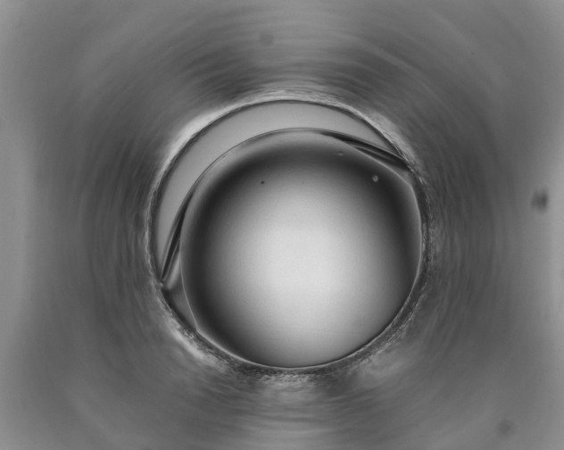 X0000090620846200707241127