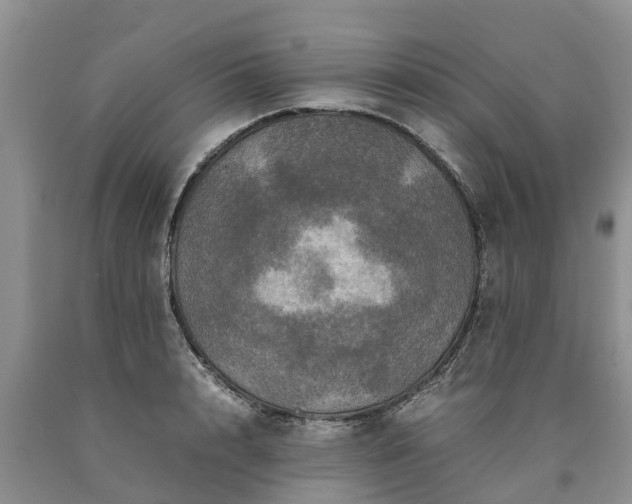X0000090620848200707241127