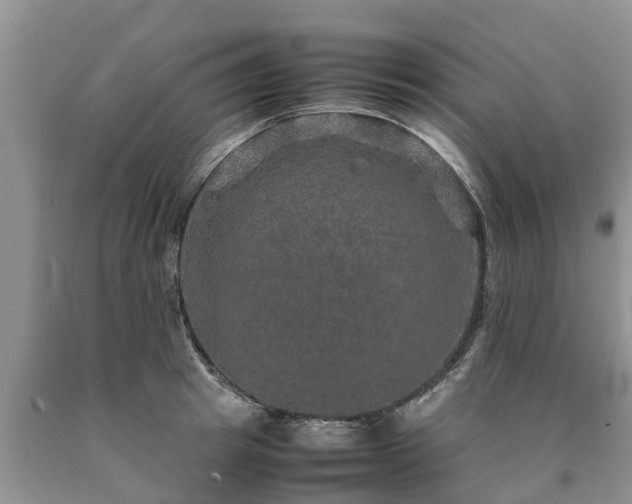 X0000090620849200707241127