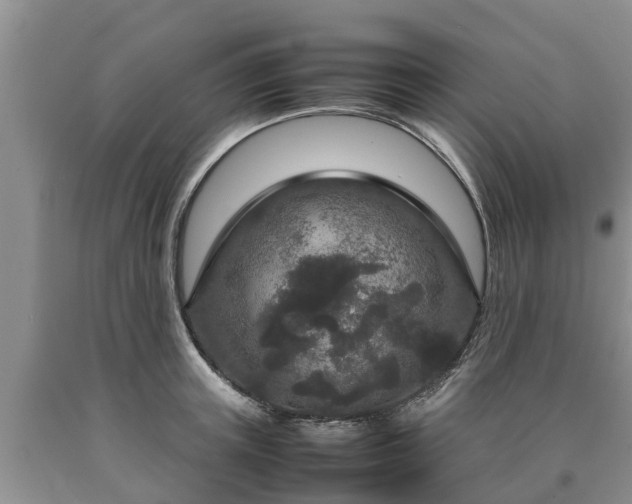 X0000090620851200707241127