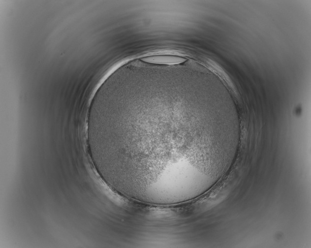 X0000090620852200707241127