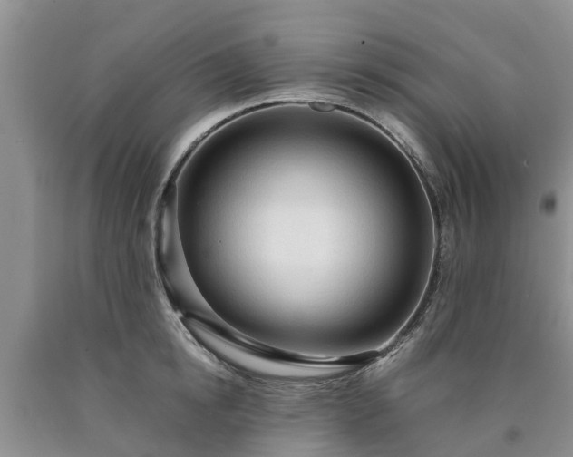 X0000090620854200707241127