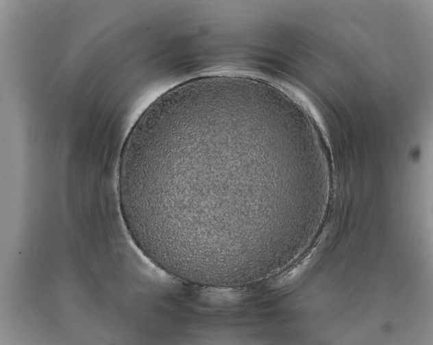 X0000090620855200707241127