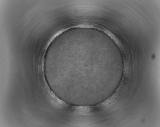 X0000090620856200707241127