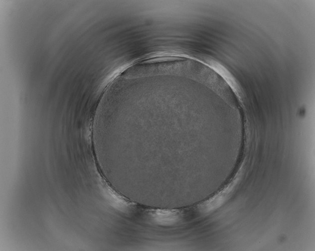 X0000090620857200707241127