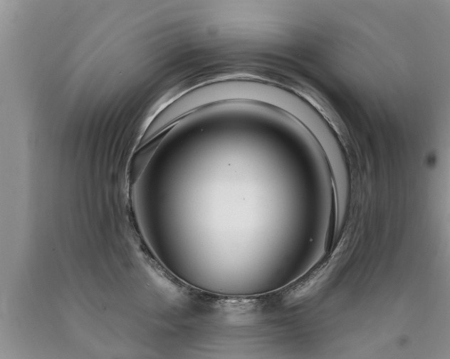 X0000090620858200707241127