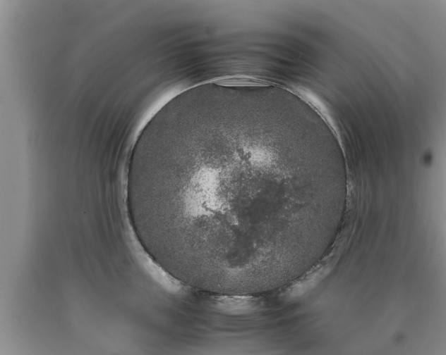 X0000090620859200707241127