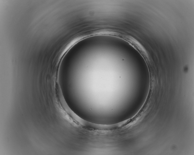X0000090620860200707241127