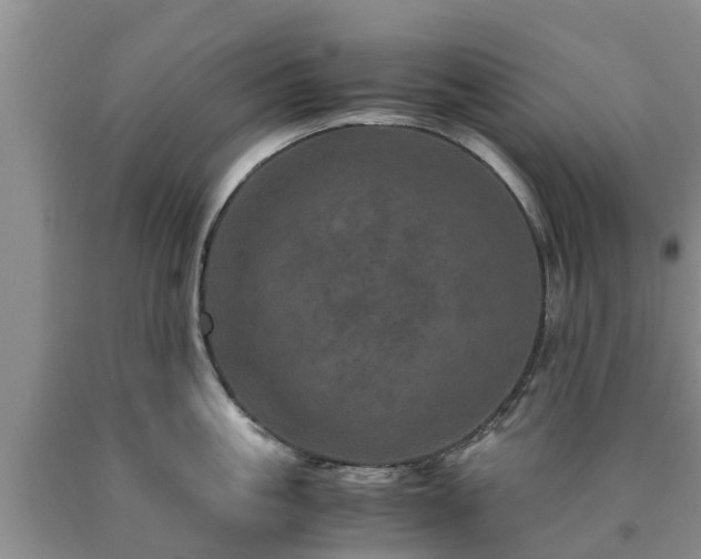 X0000090620861200707241127