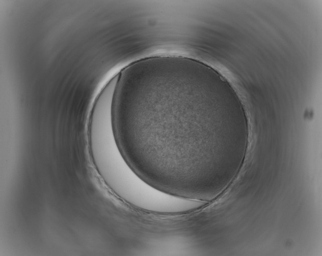 X0000090620864200707241128