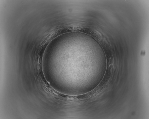 X0000090620866200707241127