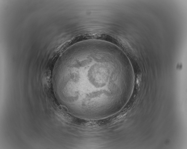 X0000090620867200707241127