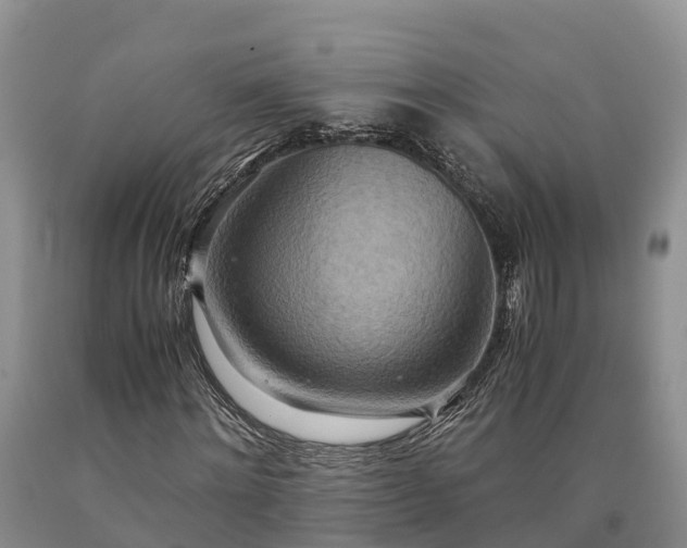 X0000090620868200707241127