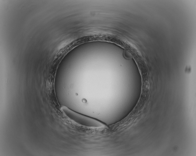 X0000090620869200707241127