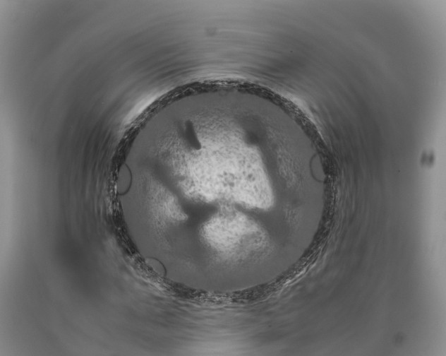 X0000090620871200707241127