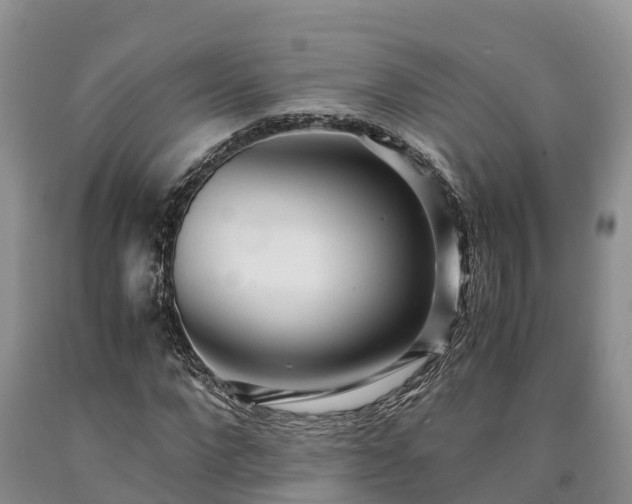 X0000090620872200707241127