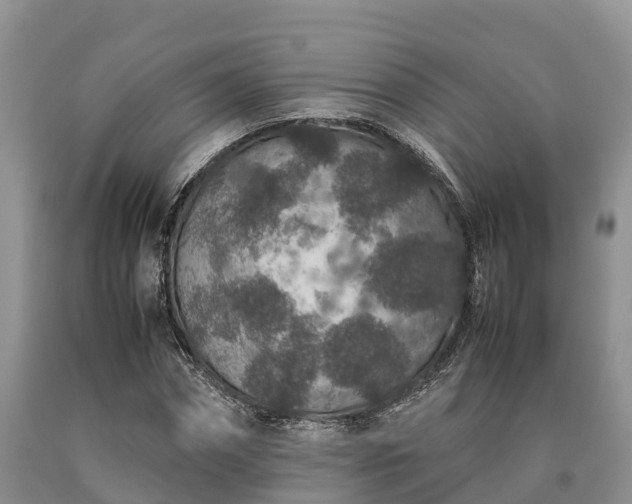 X0000090620874200707241127