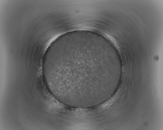 X0000090620875200707241127