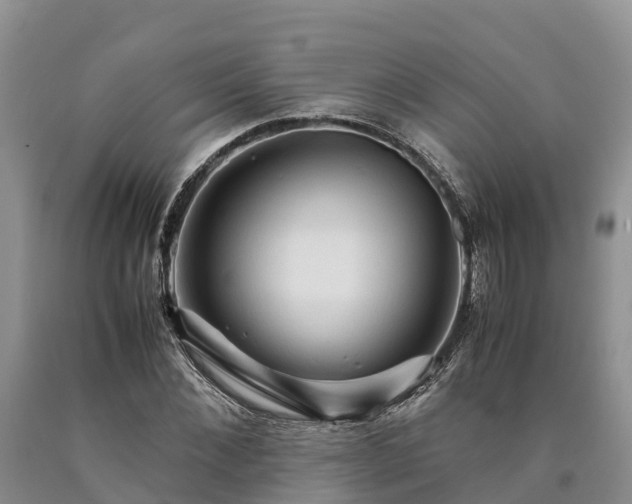 X0000090620876200707241127
