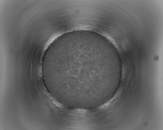 X0000090620878200707241127