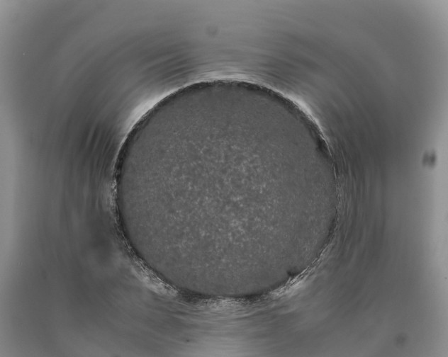 X0000090620879200707241127