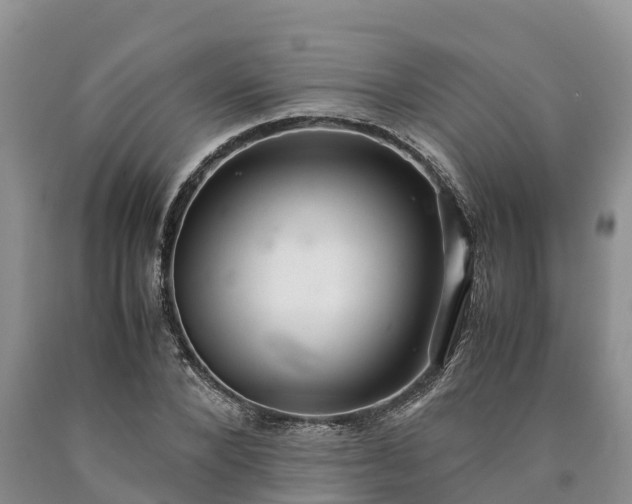 X0000090620880200707241126