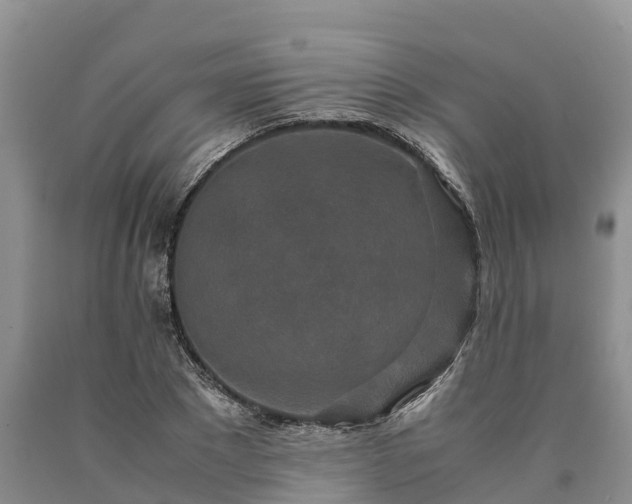 X0000090620881200707241126