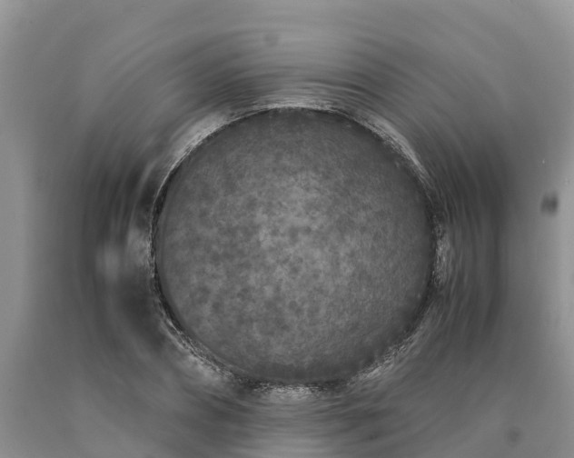 X0000090620882200707241126