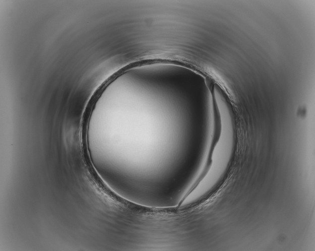 X0000090620884200707241126