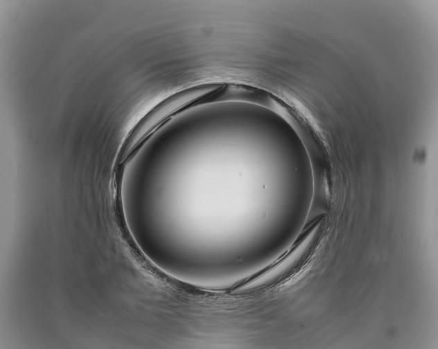 X0000090620885200707241126