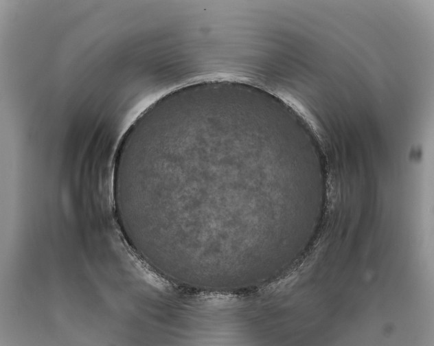 X0000090620886200707241126