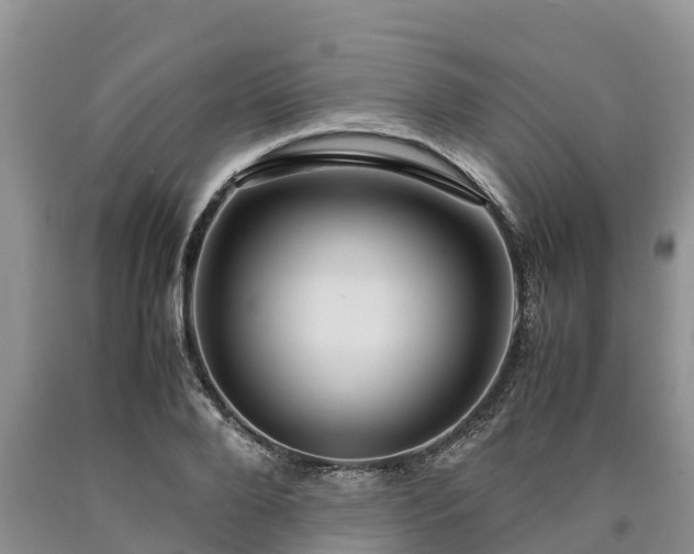 X0000090620888200707241126