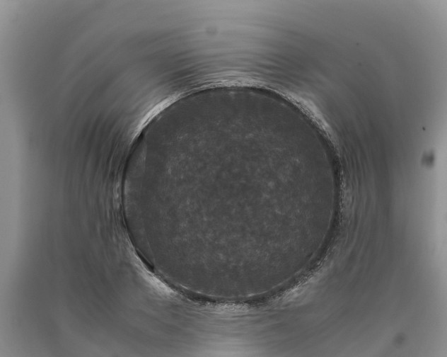 X0000090620889200707241126