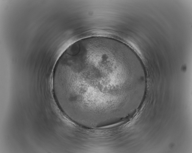 X0000090620891200707241126