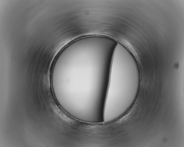 X0000090620892200707241126