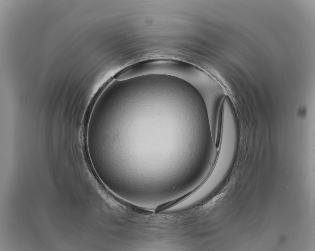 X0000090620893200707241126