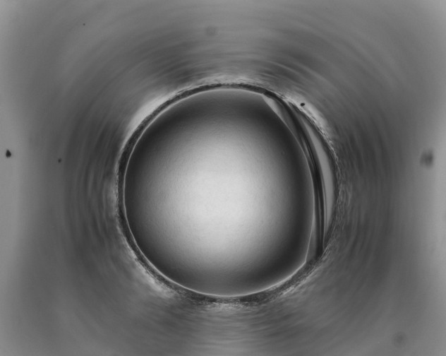 X0000090620894200707241126