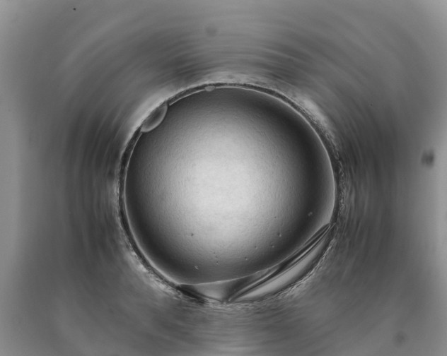 X0000090620896200707241126