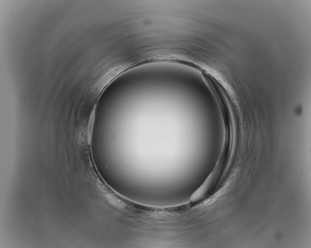 X0000090620897200707241126