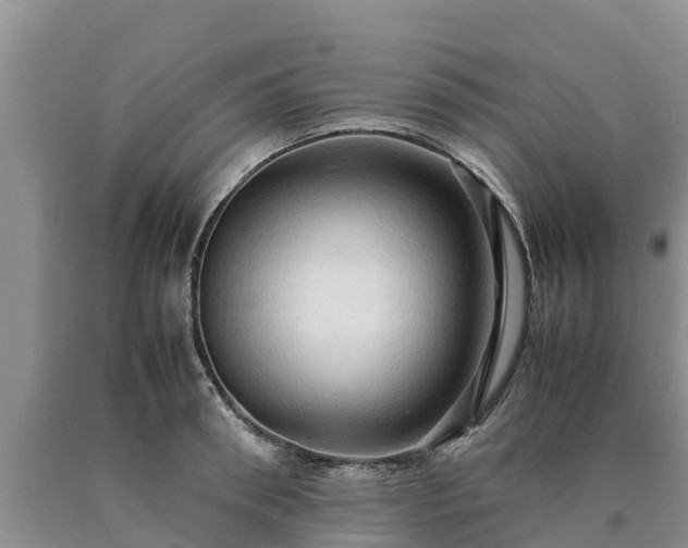 X0000090620898200707241126