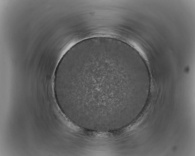 X0000090620899200707241126