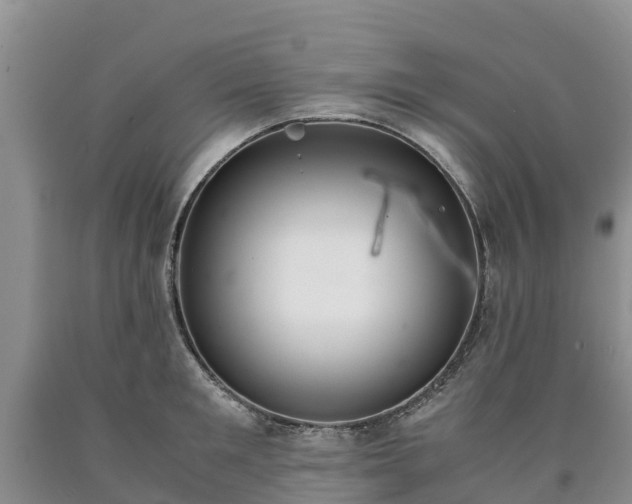 X0000090620901200707241126