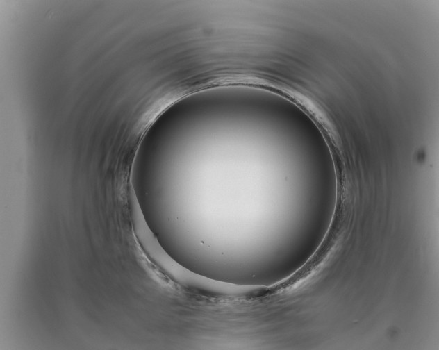 X0000090620905200707241126