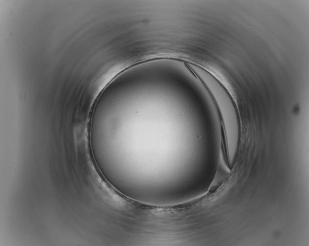 X0000090620906200707241126