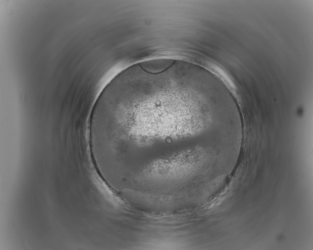 X0000090620907200707241126