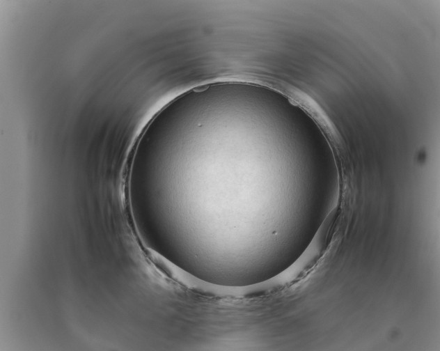 X0000090620908200707241126